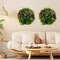 Costway 2 Pack Round Framed Artificial Foliage Wall Art with 9 Types of Mixed Faux Plants